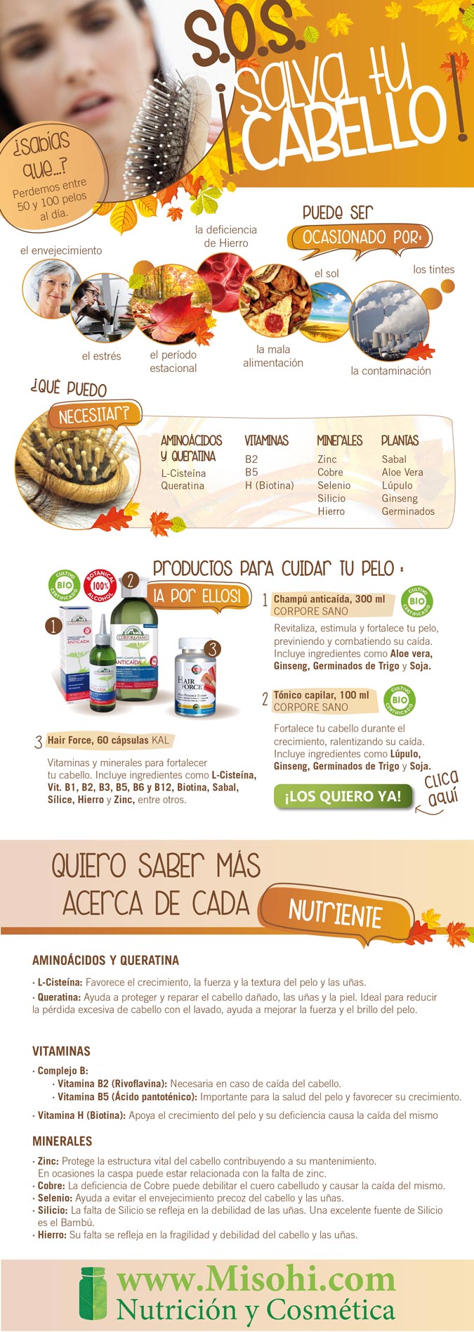 Infografía Vitaminas para el Pelo