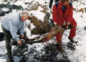 Otzi el hombre del hielo