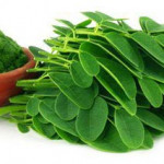 Beneficios de la Moringa