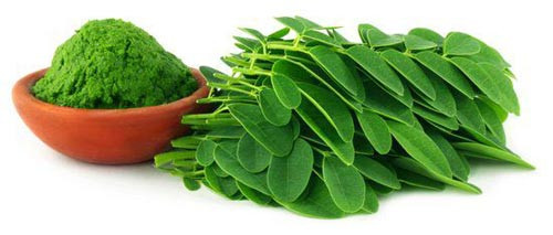 Beneficios de la Moringa